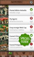Mushrooms PRO - NATURE MOBILE تصوير الشاشة 2