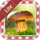 Pilze sammeln & bestimmen LITE APK