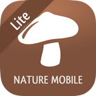 iKnow Mushrooms 2 LITE icon