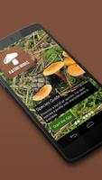 پوستر iKnow Mushrooms 2 LITE