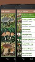 برنامه‌نما iKnow Mushrooms 2 LITE عکس از صفحه