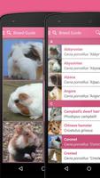 Guinea Pigs and Hamsters 2 PRO capture d'écran 3