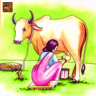 Story Of Milk A Cow's Tale(hi) icône