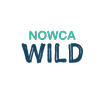 APK WiLD Swimming - NOWCA Wild