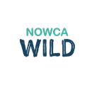 WiLD Swimming - NOWCA Wild APK