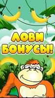 Crazy Monkey. VULK-N & MAXBT games. catch Bananas! Plakat