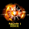 Now Voice APK