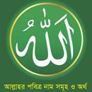 99 Names of Allah APK