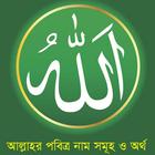 99 Names of Allah ikona