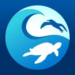 Clean Swell APK download