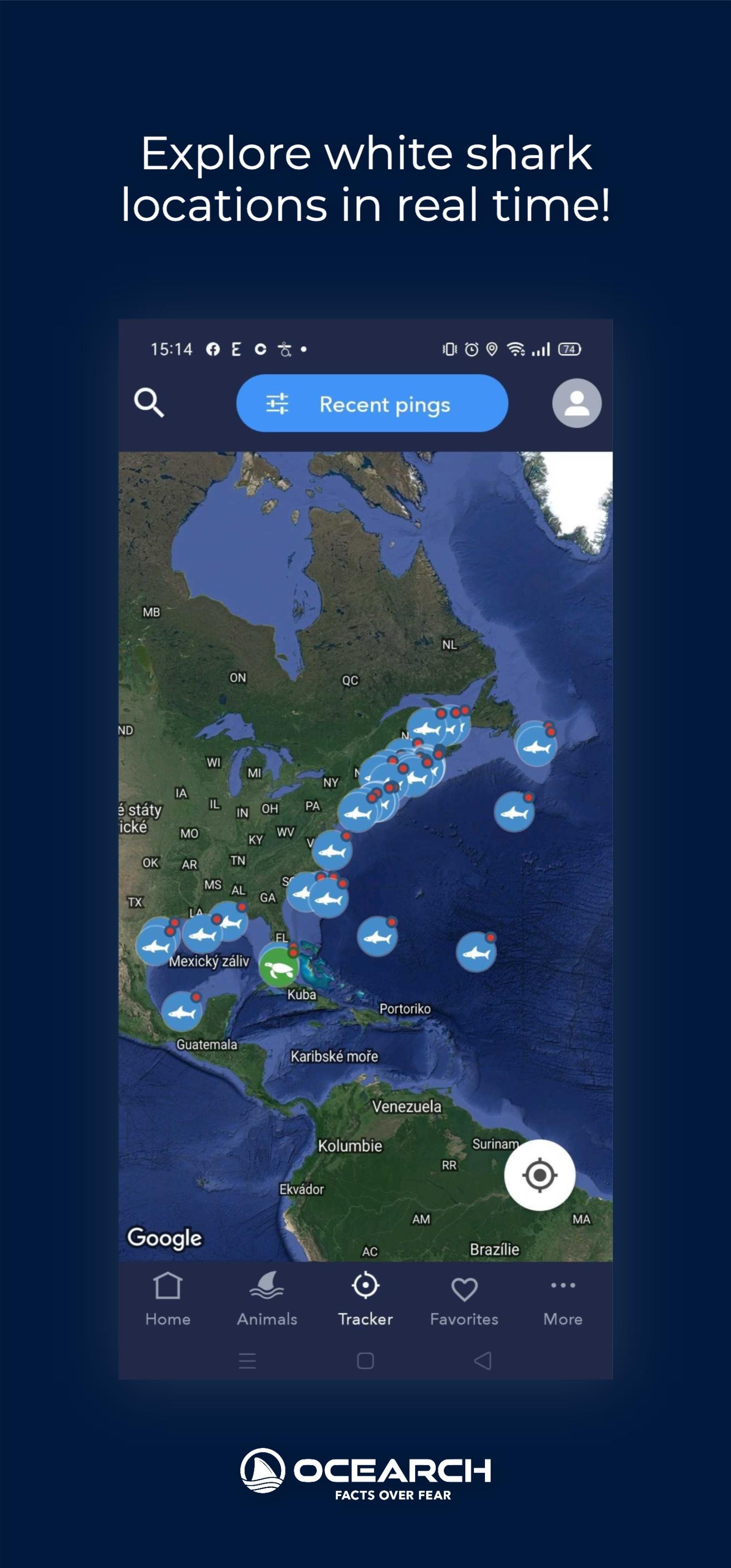 Ocearch shark tracker