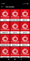 TV Turkish capture d'écran 1