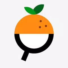 Descargar APK de Open Food Facts