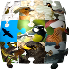 Ornithopedia Europe ikon