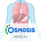 Osmosis Med Videos & Notes