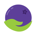 Berry.care - Check oral health
