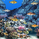 Abubu ocean live wallpaper APK