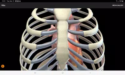 CardioSmart Heart Explorer アプリダウンロード