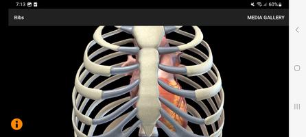 CardioSmart Heart Explorer ảnh chụp màn hình 3