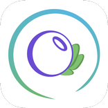 Blueberry Advisory System