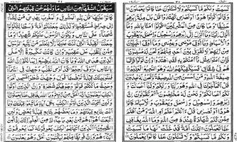 Holy Quran Dual Page IndoPak16 capture d'écran 1