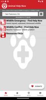 Animal Help Now 海報