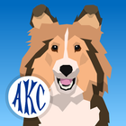 AKC Math Agility Zeichen
