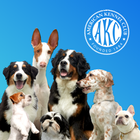 AKC Meet the Breeds أيقونة