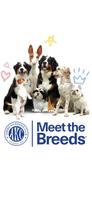 AKC Meet the Breeds الملصق