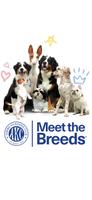 AKC Meet the Breeds Affiche