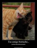 Imagenes para Whatsapp Screenshot 1