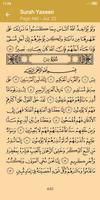 Quran, the sublime guide ảnh chụp màn hình 1