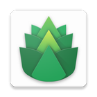 Icona 绿叶VPN - Free VPN ：永久免费，无限流量，速度更快，连接更智能，操作更人性化