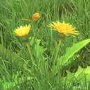 Fleurs de printemps 3D APK