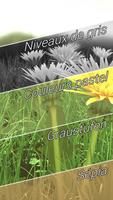 Fleurs de printemps 3D capture d'écran 2