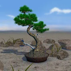 Bonsai 3D Live Wallpaper Icon
