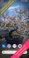 Bonsai 3D Live Wallpaper تصوير الشاشة 1