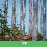 Bamboo Forest Wallpaper Lite icon