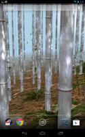 Bamboo Forest Wallpaper Lite bài đăng