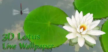 3D Lotus Pond Live Wallpaper