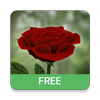 3D Rose Live Wallpaper Free ikona 3D Rose Live Wallpaper Free ikona