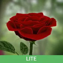 download 3D Rose Live Wallpaper Lite XAPK