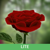 La rose 3D Lite icône