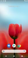 3D Tulip Affiche