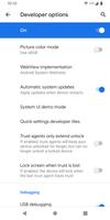 Developer Options スクリーンショット 1