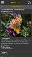 2 Schermata Schmetterlinge bestimmen