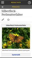 3 Schermata Schmetterlinge bestimmen