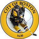 Boston Hockey - Bruins Edition APK