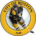 Boston Hockey أيقونة