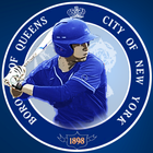 New York Baseball - Mets icône